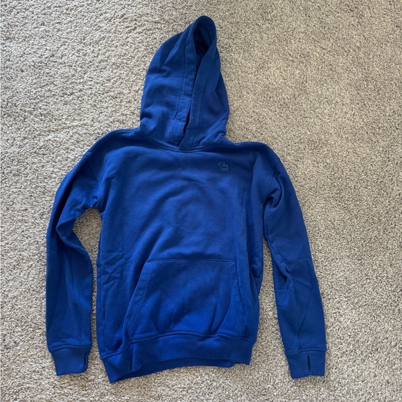 Abercrombie Kids Royal Blue Hoodie - Picture 1 of 5